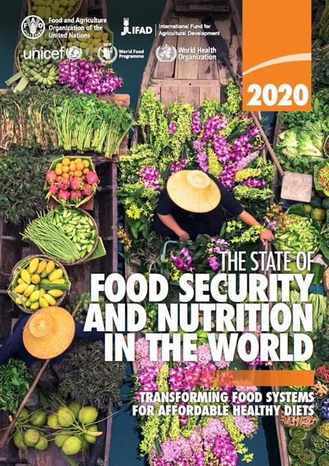 The state of food security and nutrition in the world 2020